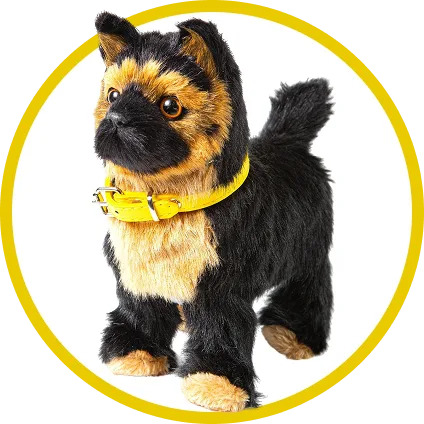 pets category icon